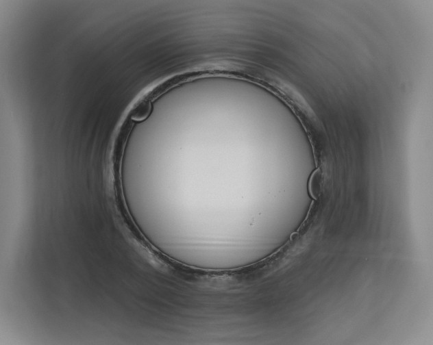 X0000113320784200909281206