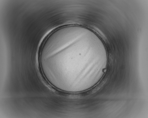 X0000113320788200909281206