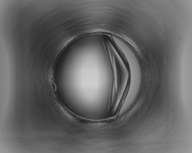 X0000113320793200909281206