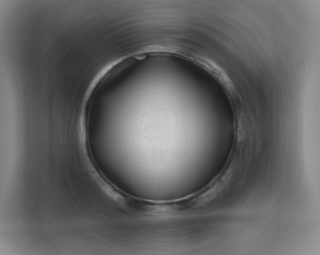 X0000113320796200909281206