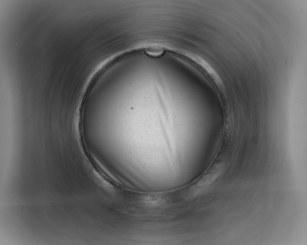 X0000113320799200909281206