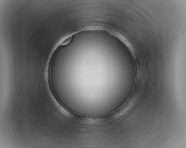 X0000113320803200909281206