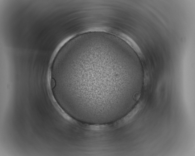 X0000113320804200909281206