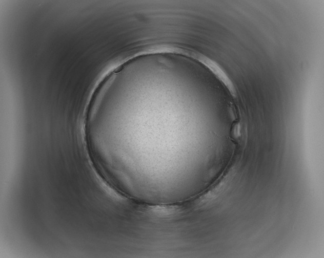 X0000113320805200909281206