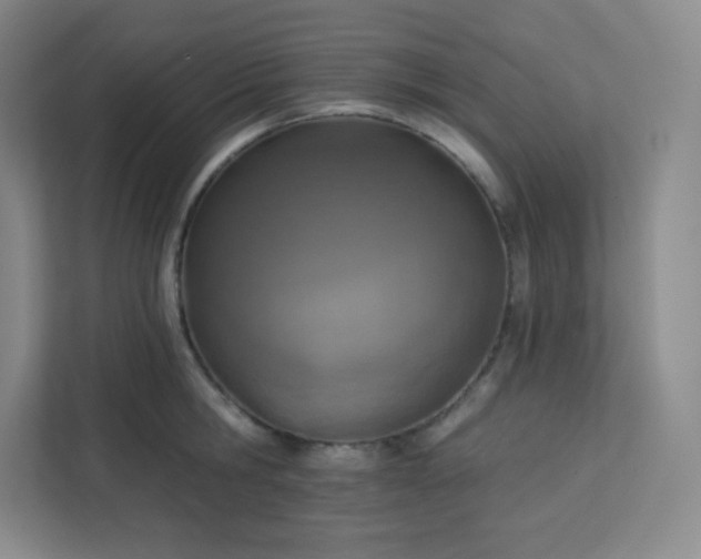 X0000113320806200909281206