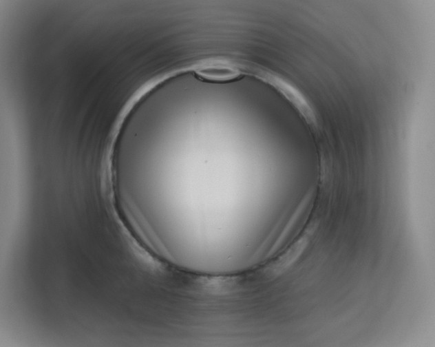 X0000113320808200909281206