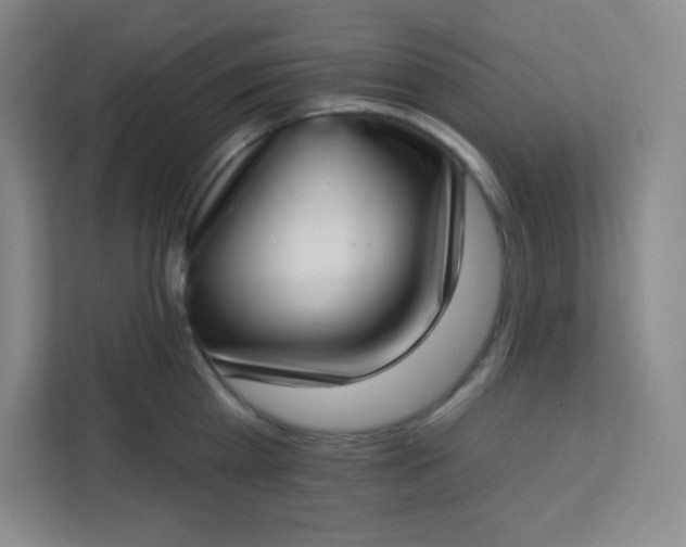 X0000113320809200909281206