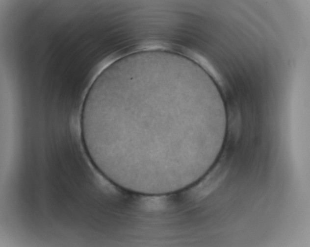 X0000113320810200909281206