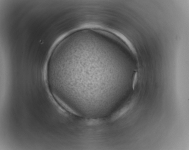 X0000113320815200909281206