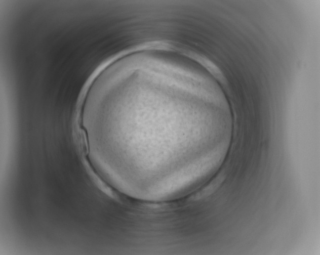 X0000113320816200909281206