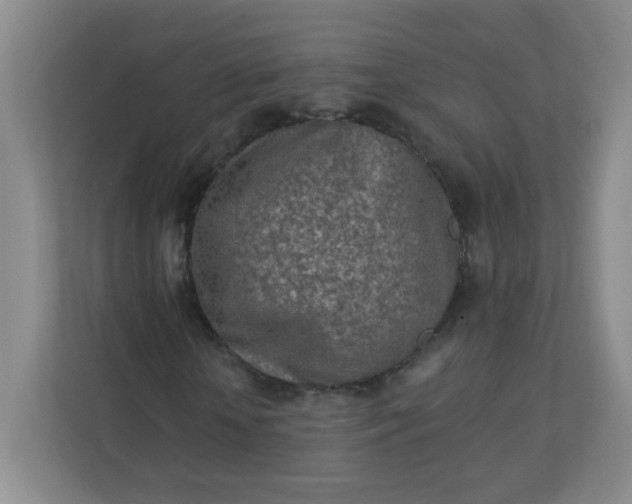 X0000113320818200909281205