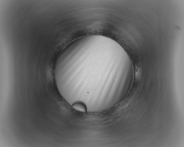 X0000113320819200909281205