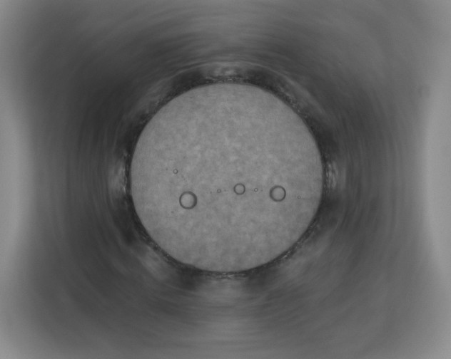 X0000113320820200909281205