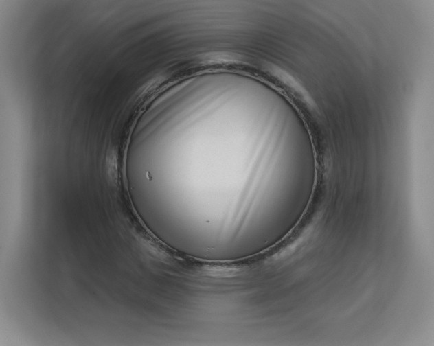 X0000113320825200909281205