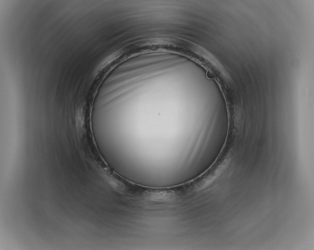 X0000113320826200909281205