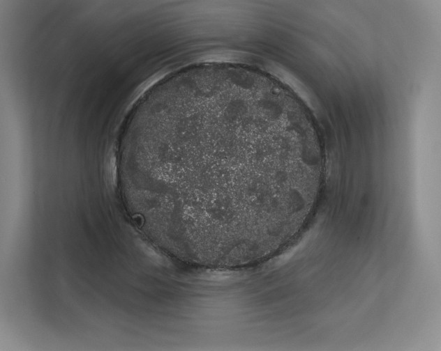 X0000113320829200909281205