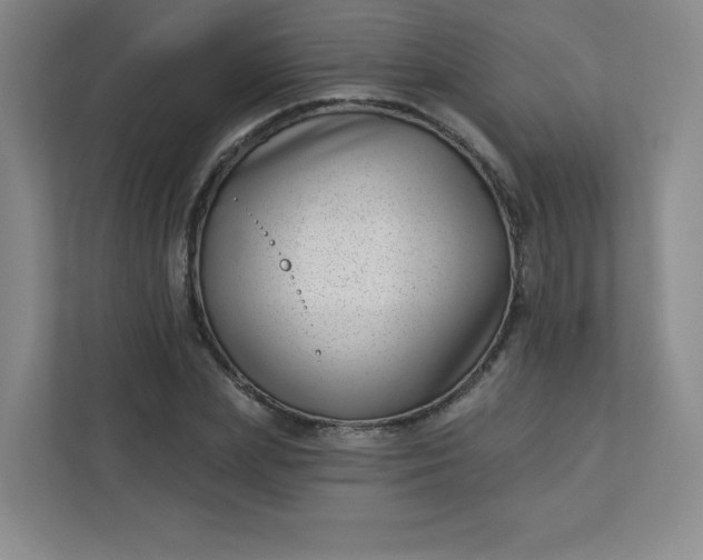 X0000113320831200909281205