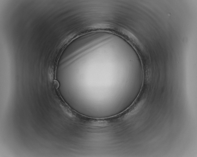 X0000113320833200909281206