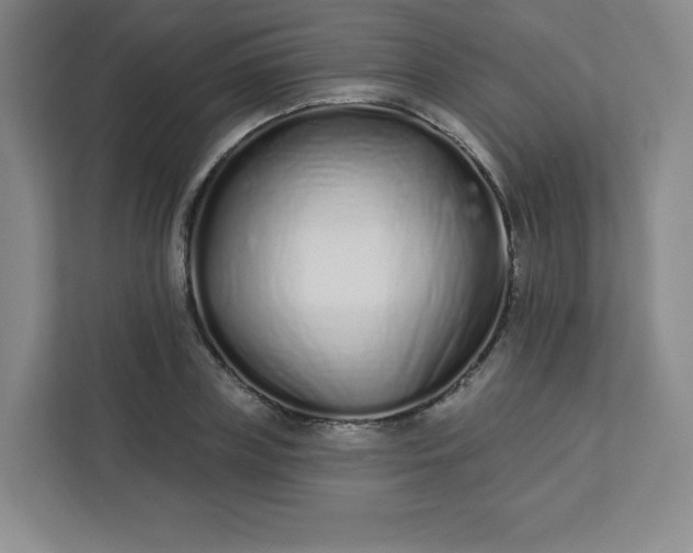 X0000113320835200909281206