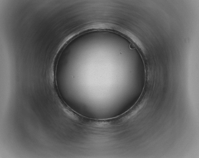 X0000113320837200909281206