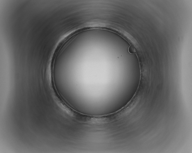 X0000113320840200909281206