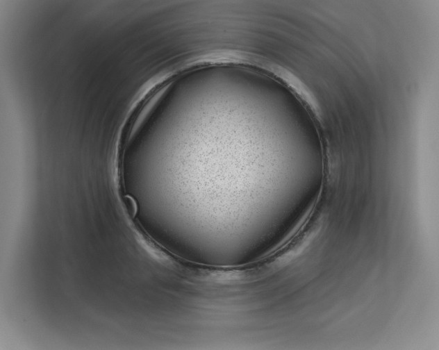 X0000113320845200909281206