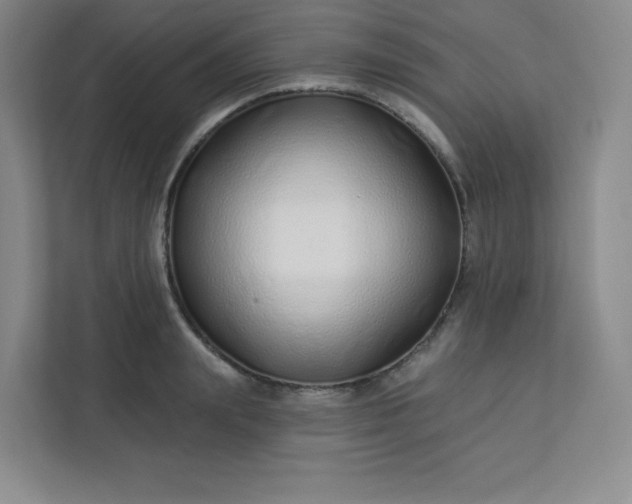 X0000113320847200909281206