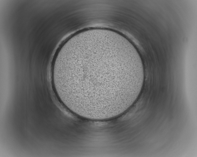 X0000113320848200909281206