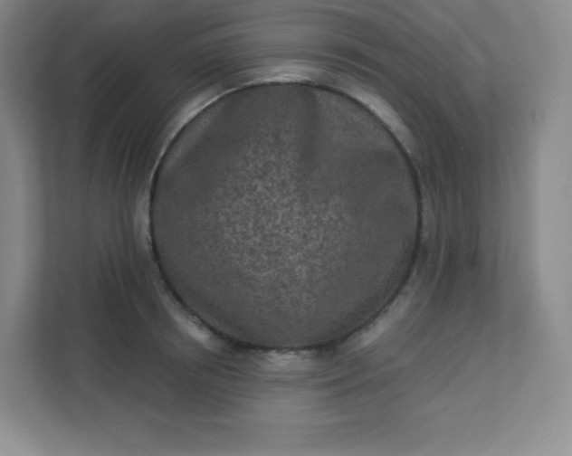 X0000113320850200909281206