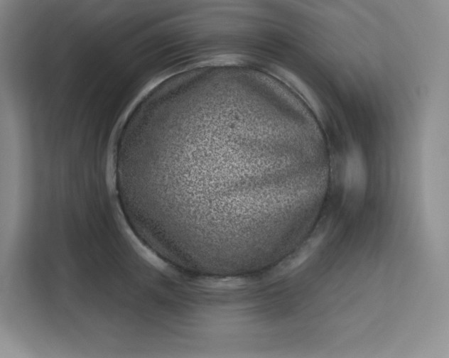 X0000113320851200909281206