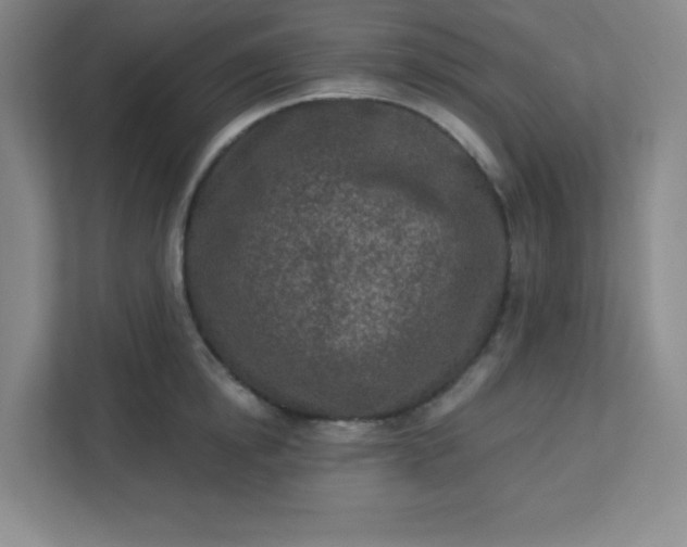 X0000113320854200909281206