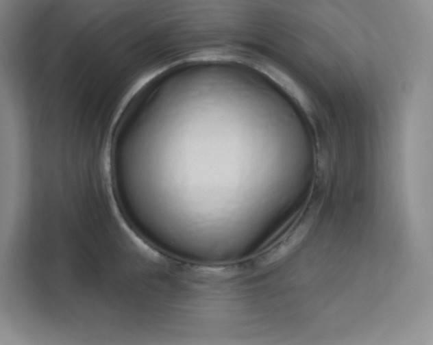 X0000113320855200909281206