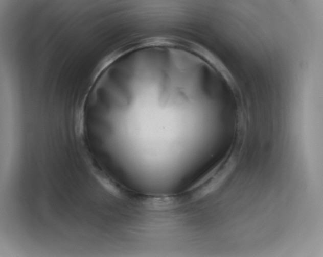 X0000113320858200909281206