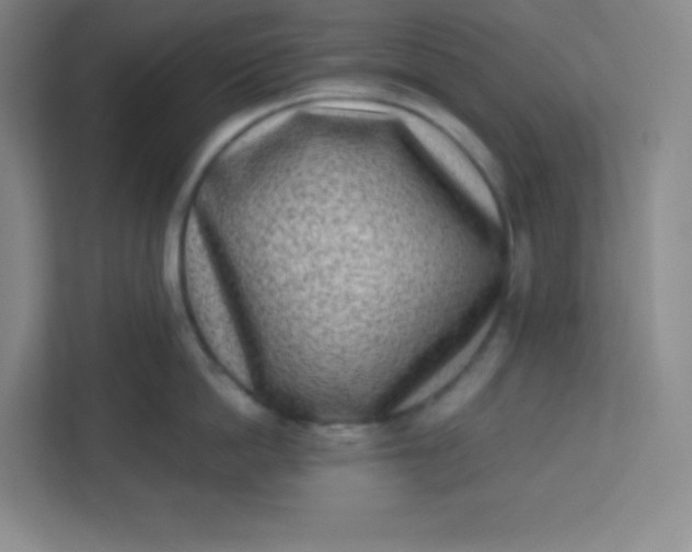 X0000113320862200909281206