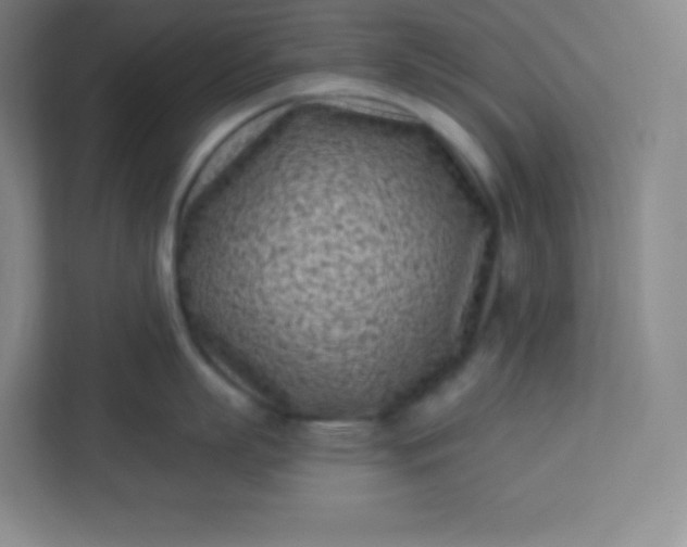 X0000113320863200909281206