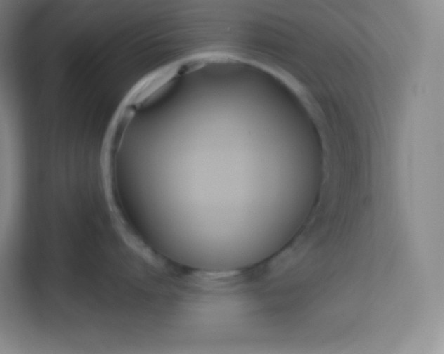 X0000113320864200909281206