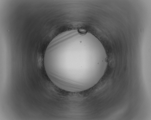 X0000113320866200909281205