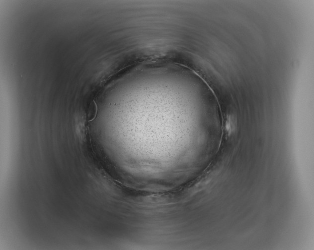 X0000113320867200909281205