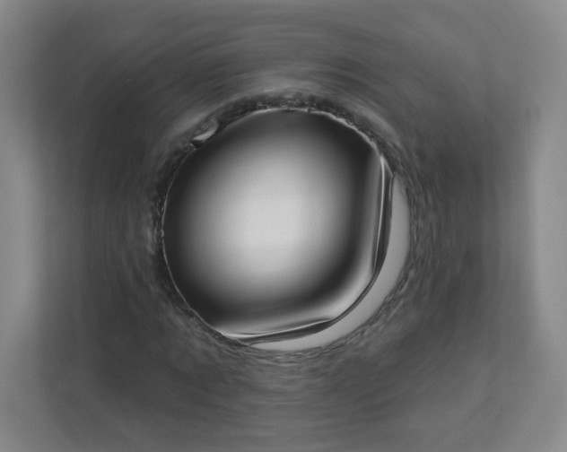 X0000113320869200909281205