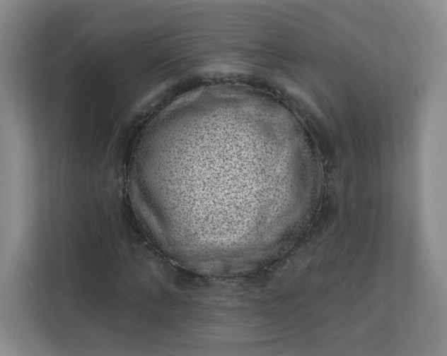 X0000113320870200909281205