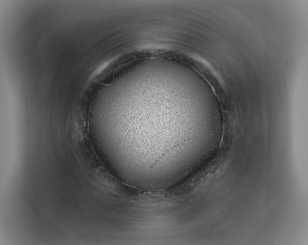 X0000113320871200909281205