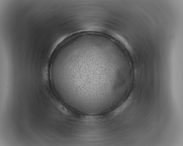 X0000113320875200909281205