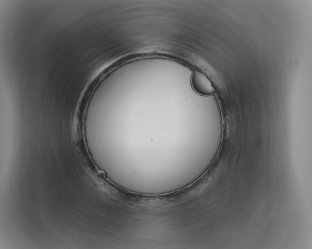 X0000113320876200909281205