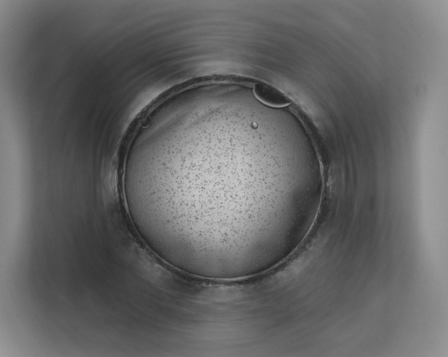 X0000113320877200909281205