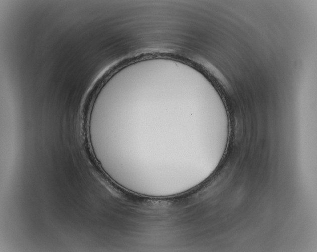 X0000113320878200909281205