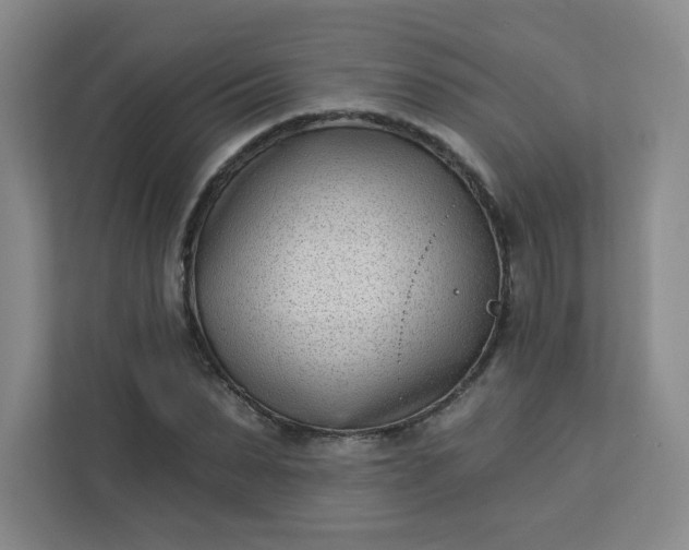 X0000113320879200909281205