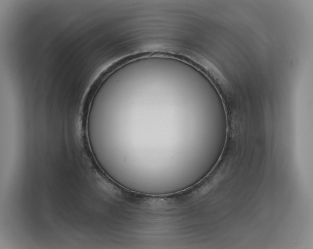 X0000113320880200909281205