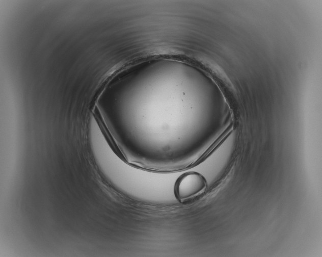 X0000113320881200909281205