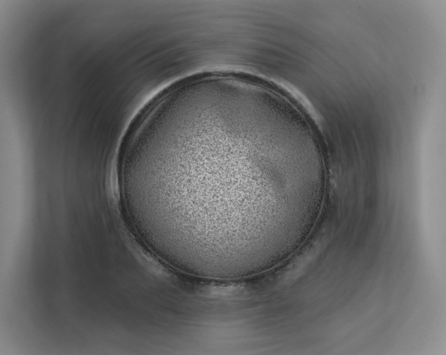 X0000113320887200909281205