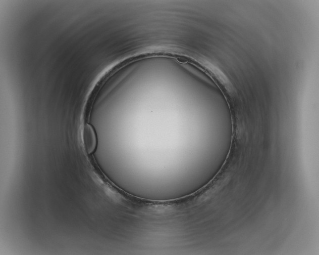 X0000113320888200909281205